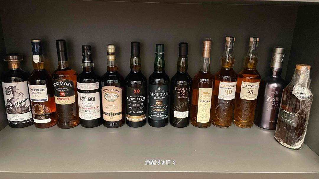 自我放飞的小天地