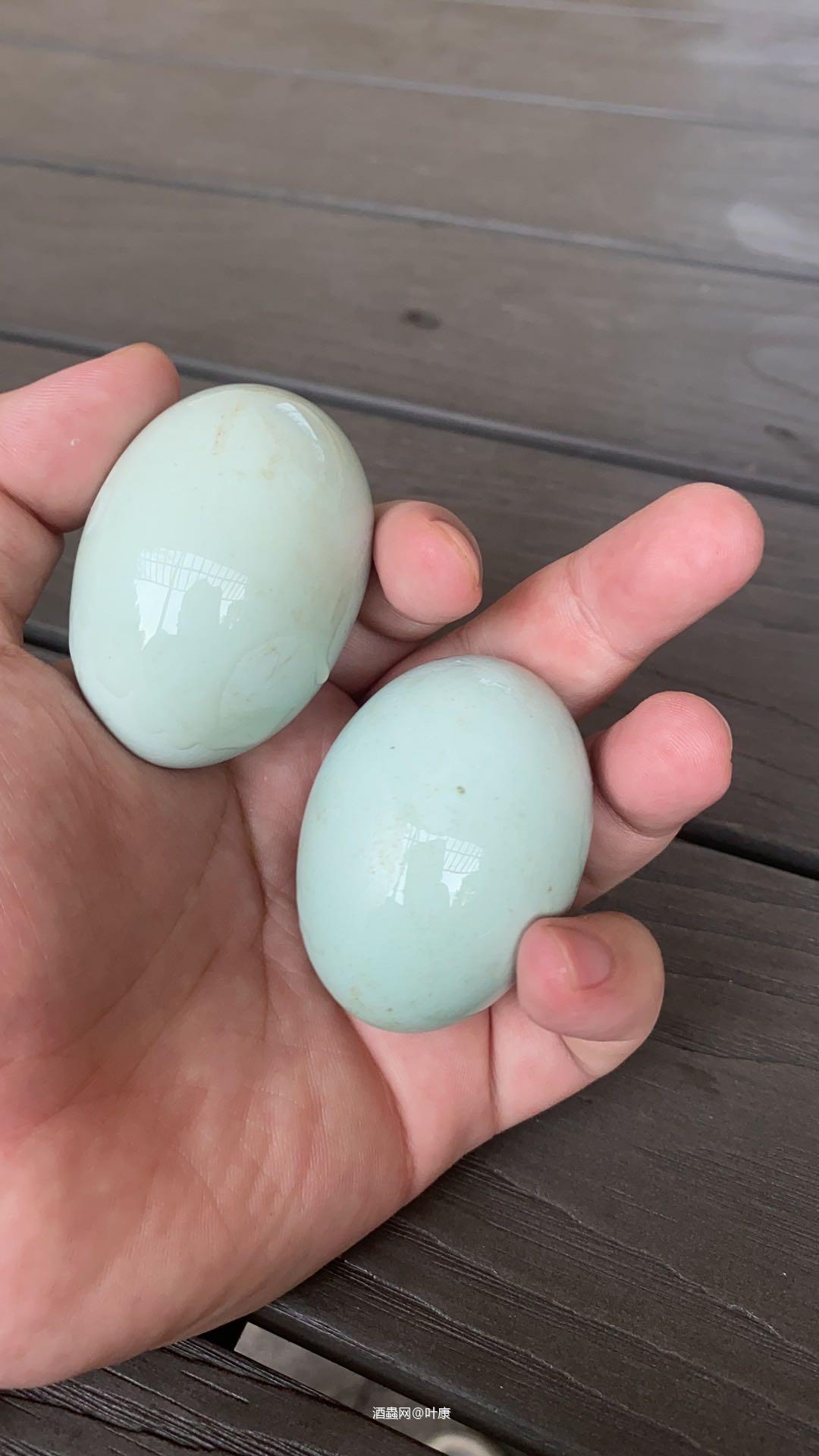 大拍将显示流拍记录，显示时间以付款周期结束，未付款的将标注拍品流拍<img src='https://sdata.whiskyworm.com/xcxpics/emoji_14.png' class='emoji' />