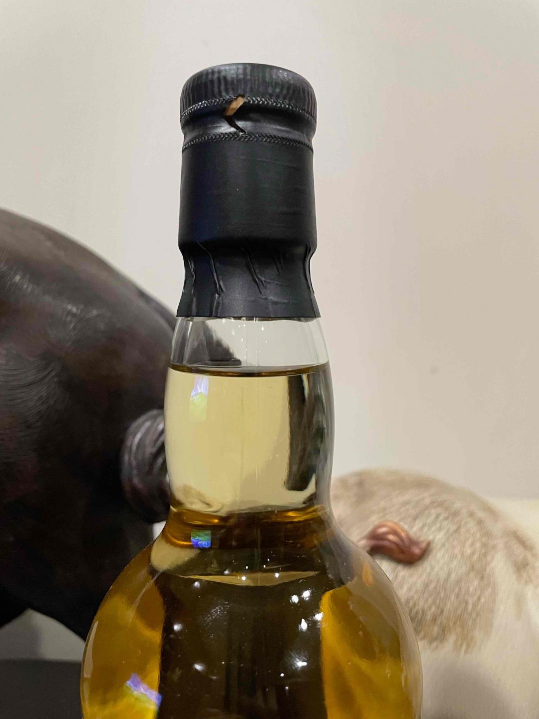 Whisky Sponge威士忌海绵 小猫 10年