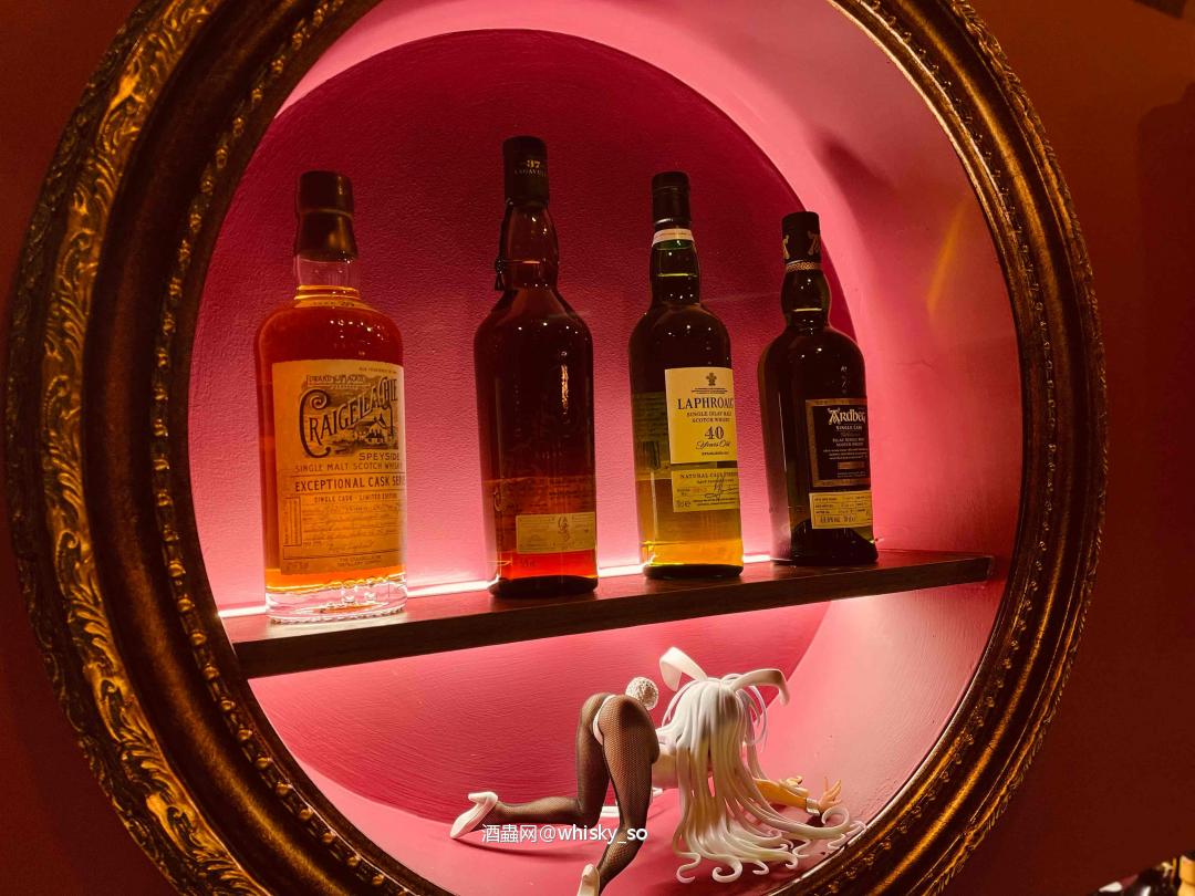 单杯俱乐部。有点意思