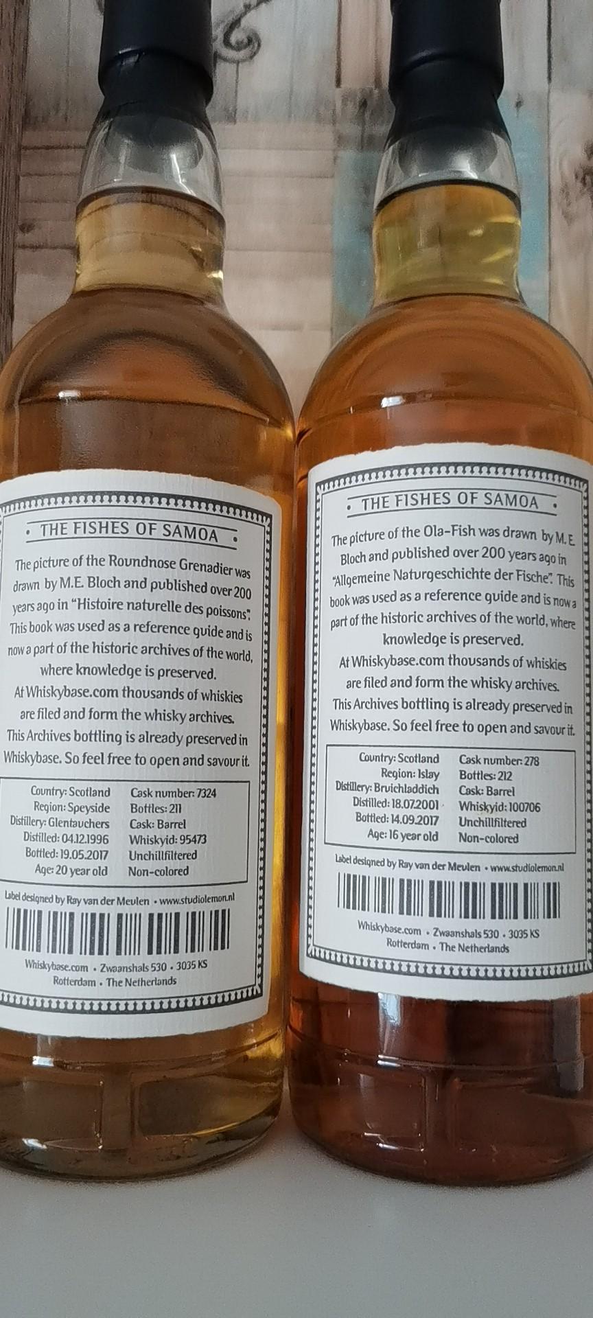 Archives 鱼标国际版 布赫拉迪 格兰道奇