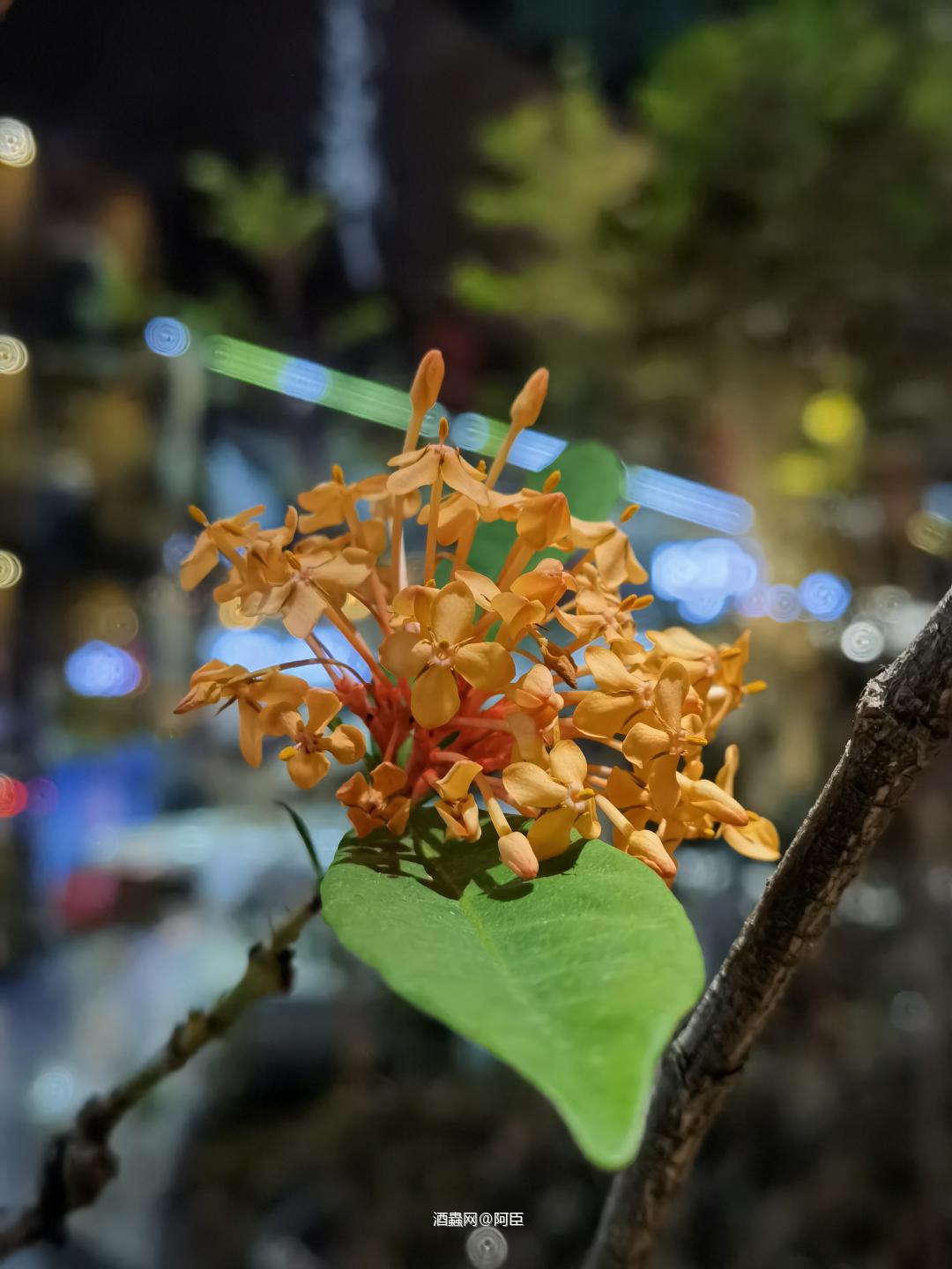 好茶好酒好兄弟