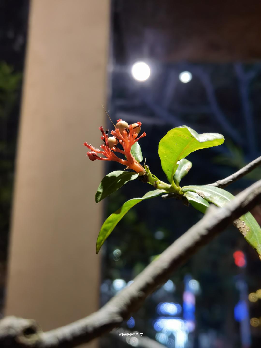 好茶好酒好兄弟