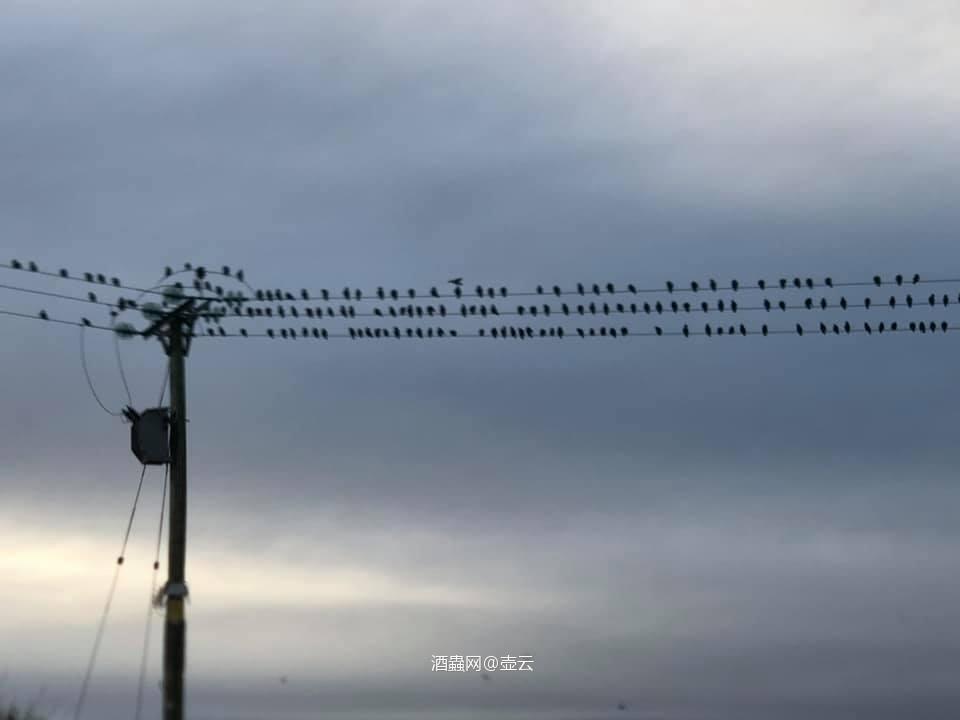 台风走了一天了，太阳出來了，party还剩下两天了。<p class='p'/><p class='p'/>…