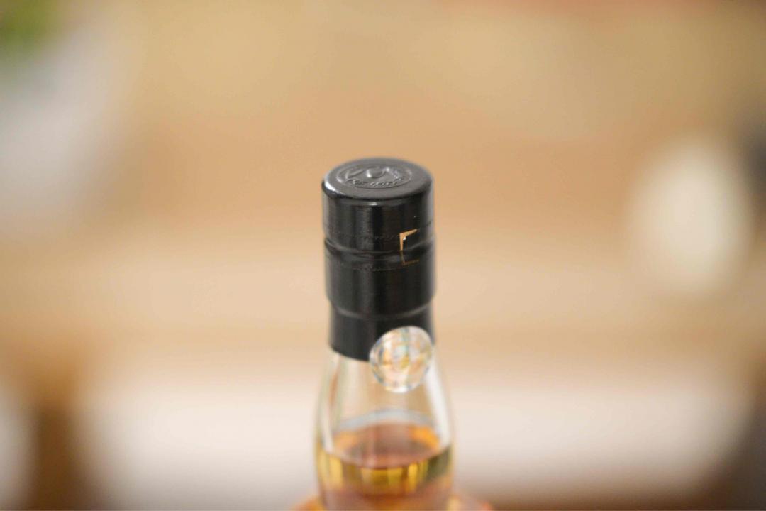 秩父 on the way 2019