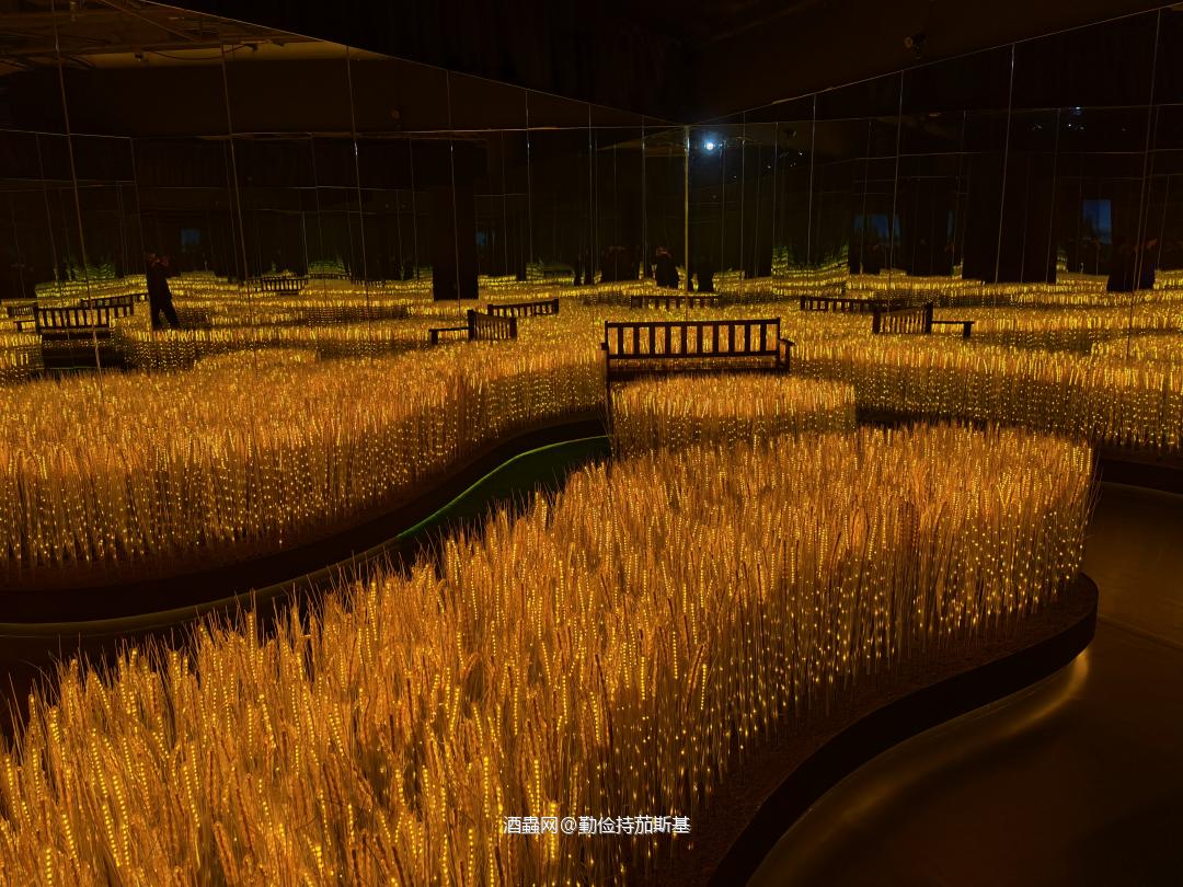 值得一观的展览，展品很有诚意