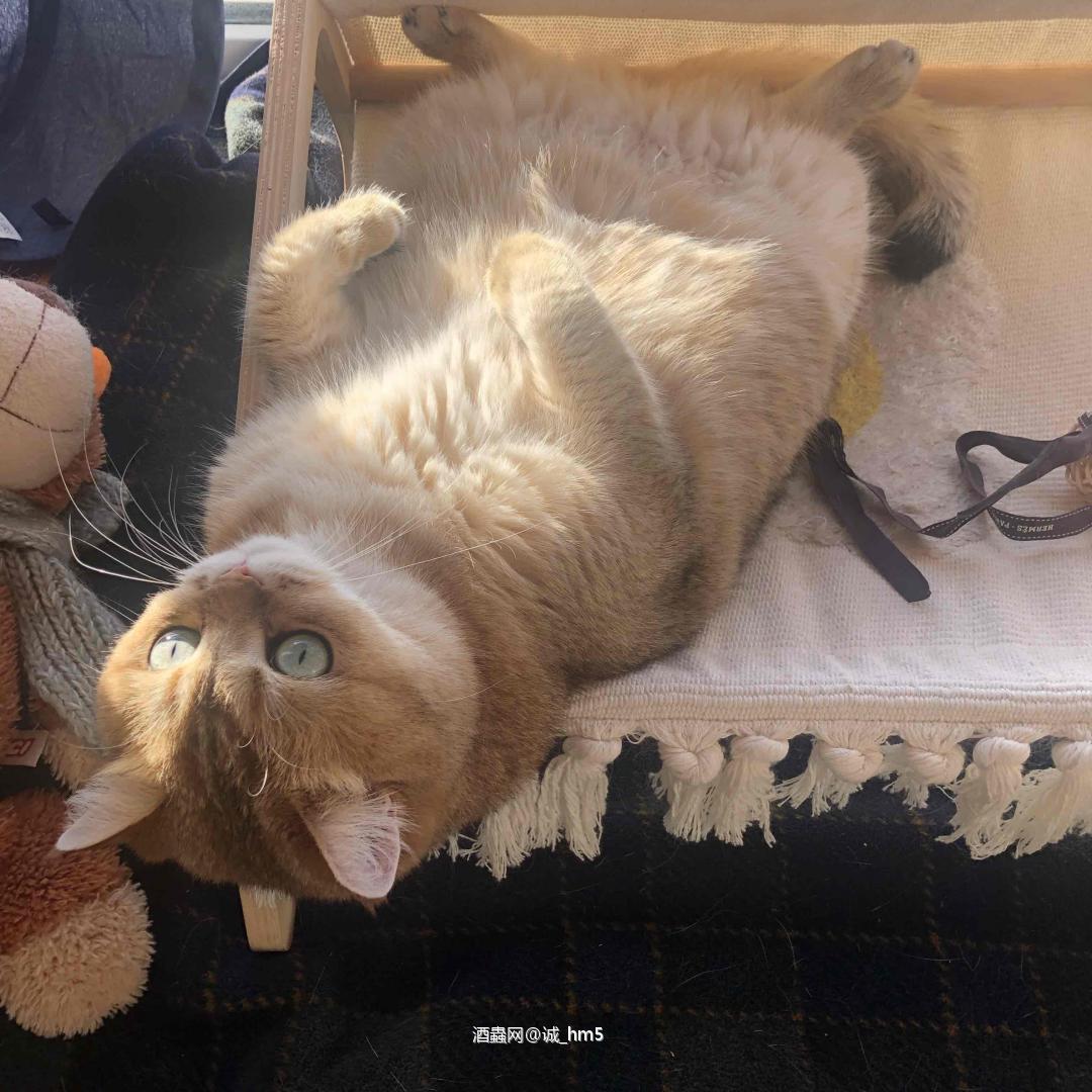 祝新年新气象，万事如意，致富