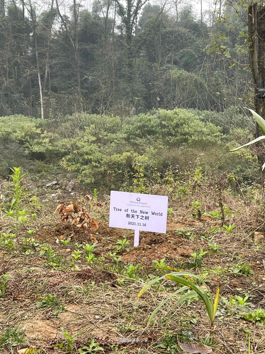 叠川麦芽威士忌酒厂🎉