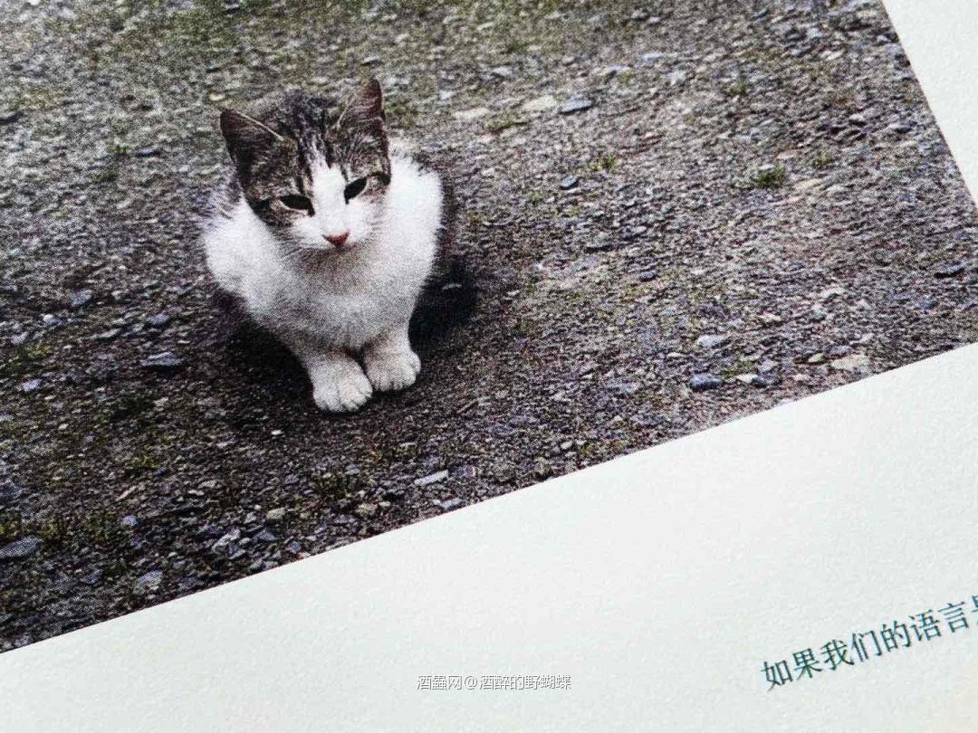 如果我們的語言是威士忌