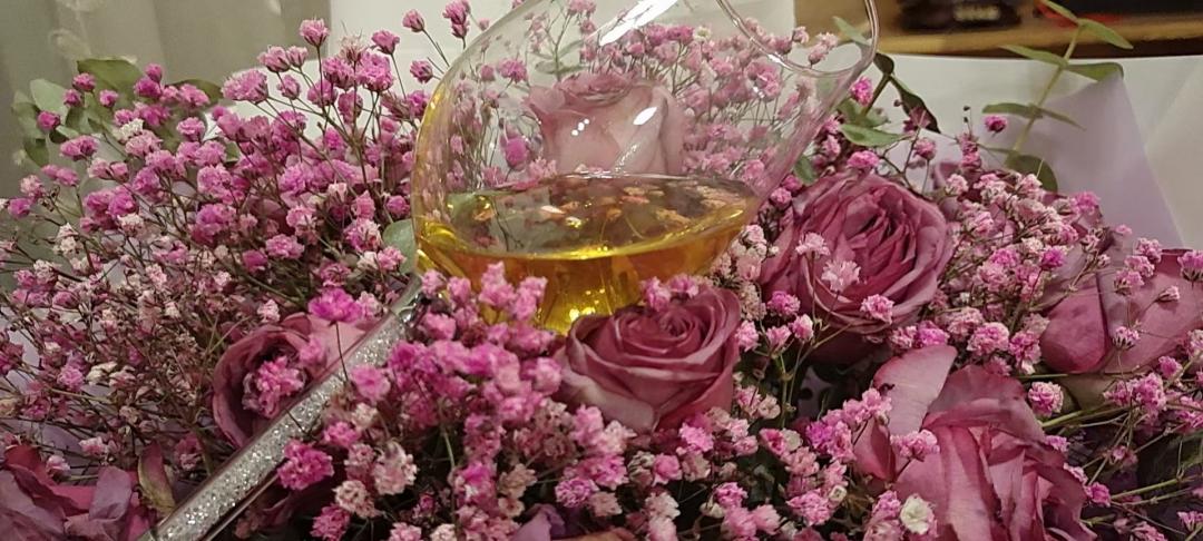 这款酒和小龙虾很配