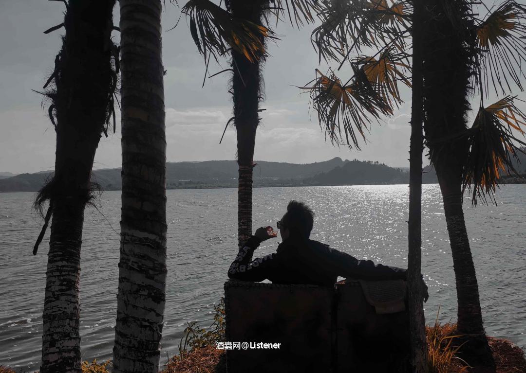 屈身于光的碎屑.