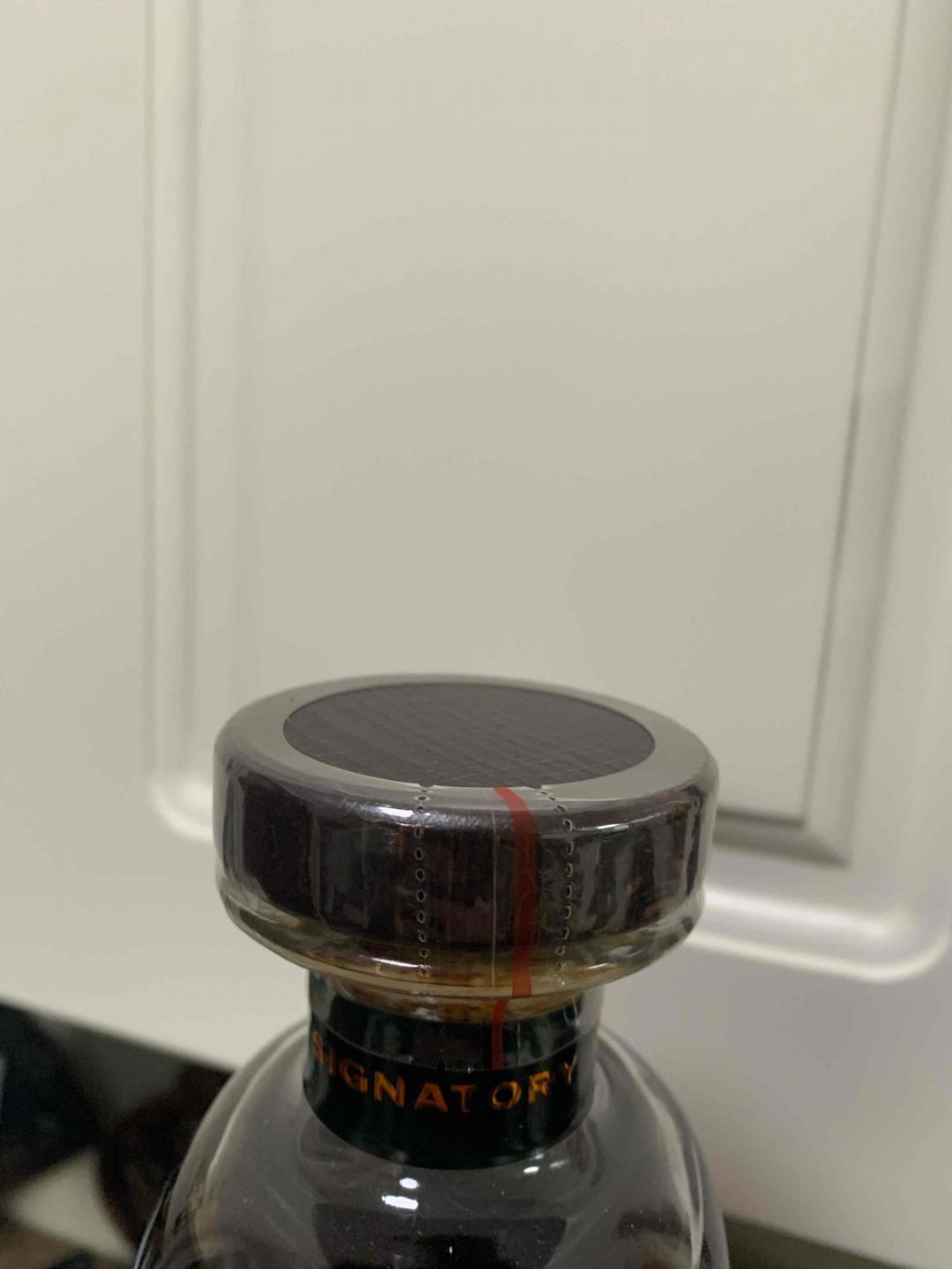 山本修猫美术馆布赫拉迪16年