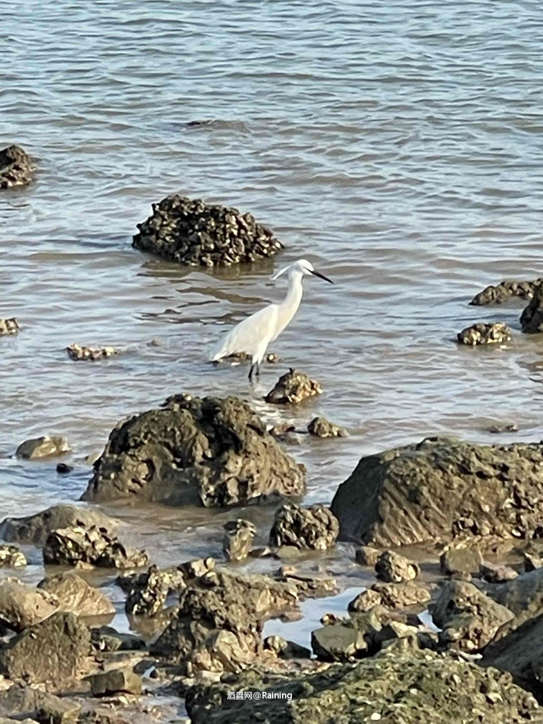 路过海边顺手拍😎嗯……晚上想喝点大海味道的威士忌了🥃<img src='https://sdata.whiskyworm.com/xcxpics/emoji_21.png' class='emoji' />