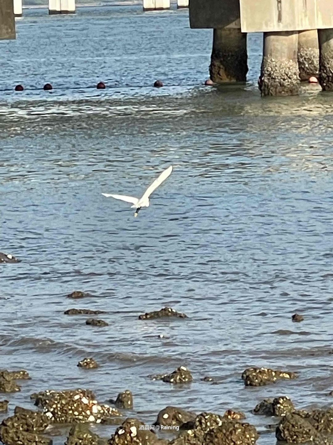 路过海边顺手拍😎嗯……晚上想喝点大海味道的威士忌了🥃<img src='https://sdata.whiskyworm.com/xcxpics/emoji_21.png' class='emoji' />