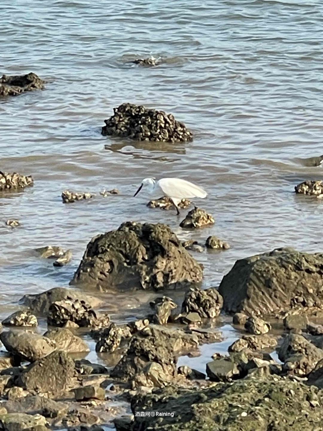 路过海边顺手拍😎嗯……晚上想喝点大海味道的威士忌了🥃<img src='https://sdata.whiskyworm.com/xcxpics/emoji_21.png' class='emoji' />