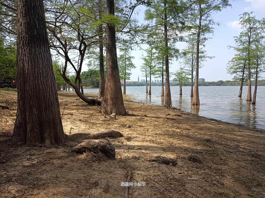 星期六无节目（粤语）