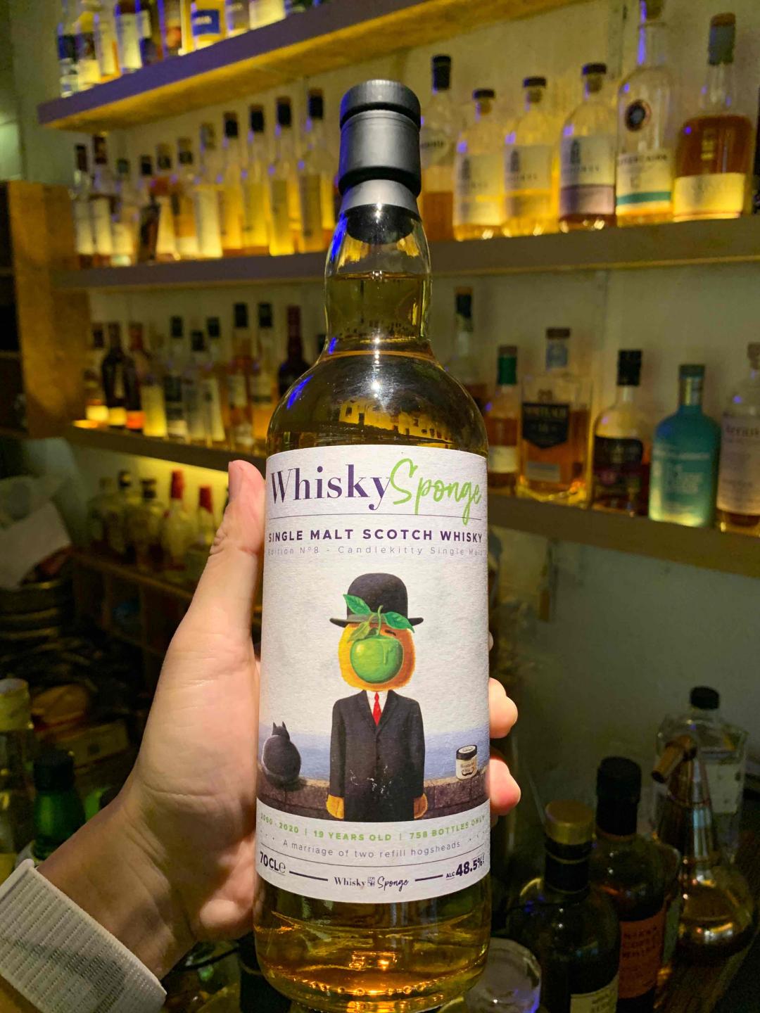 威士忌海绵 小猫