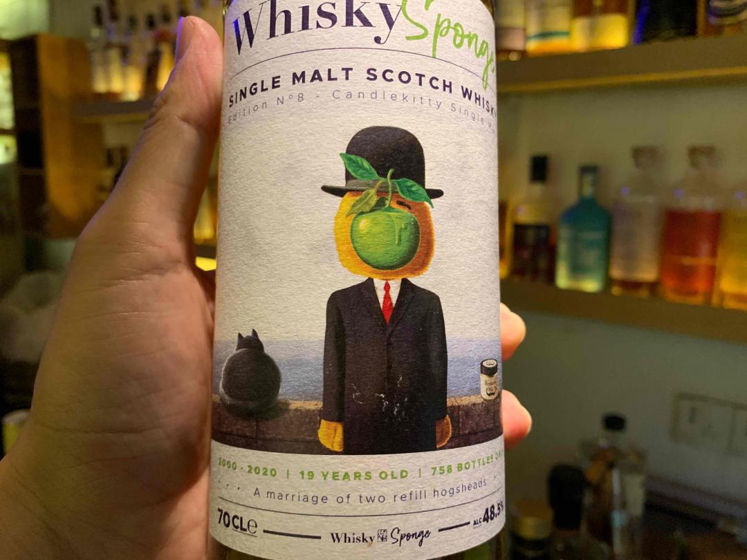 威士忌海绵 小猫