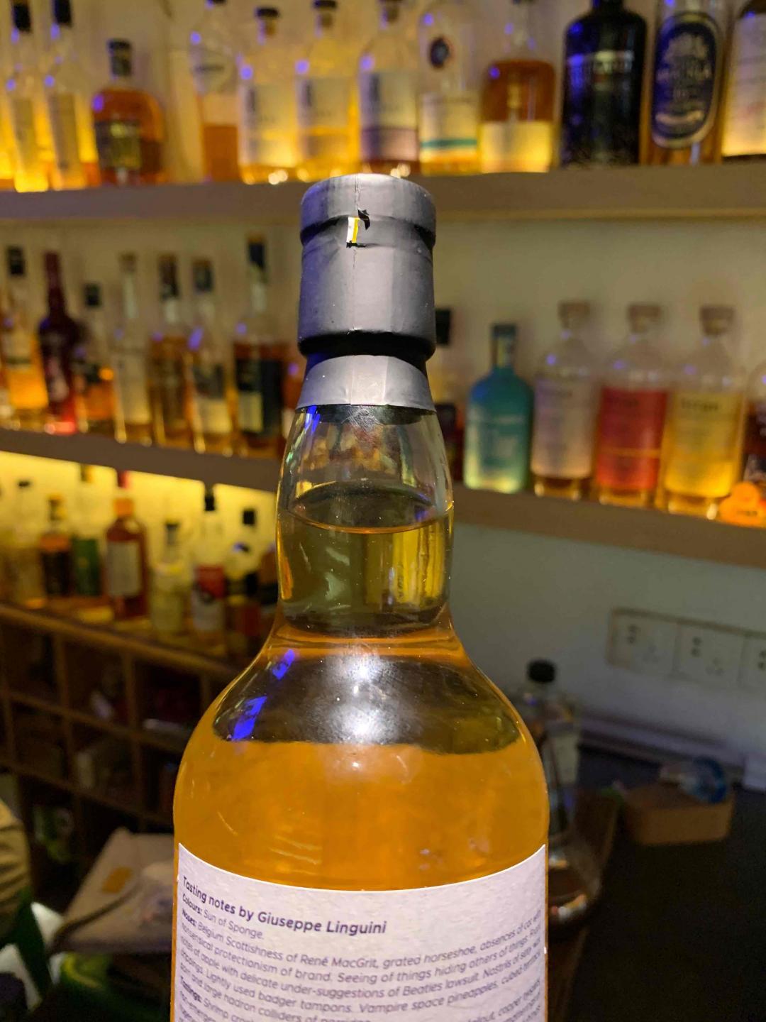 威士忌海绵 小猫