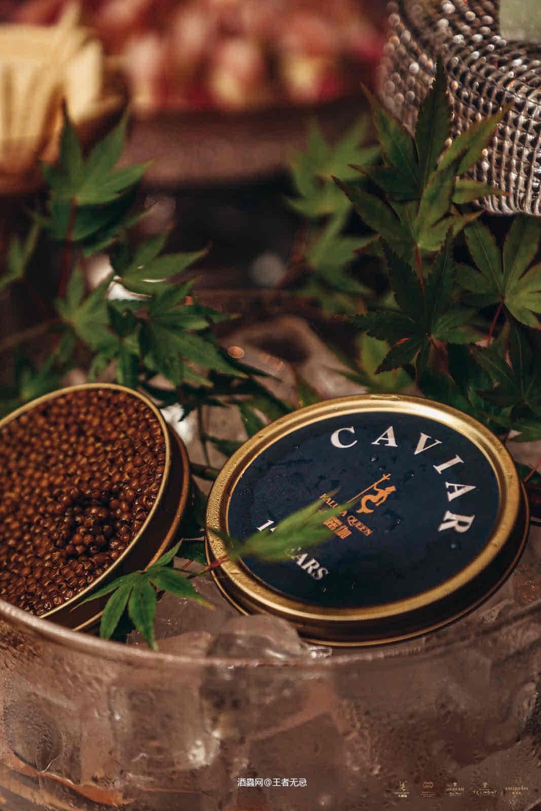 卡露伽X路易十三X玳慕X寰彼极 联合晚宴