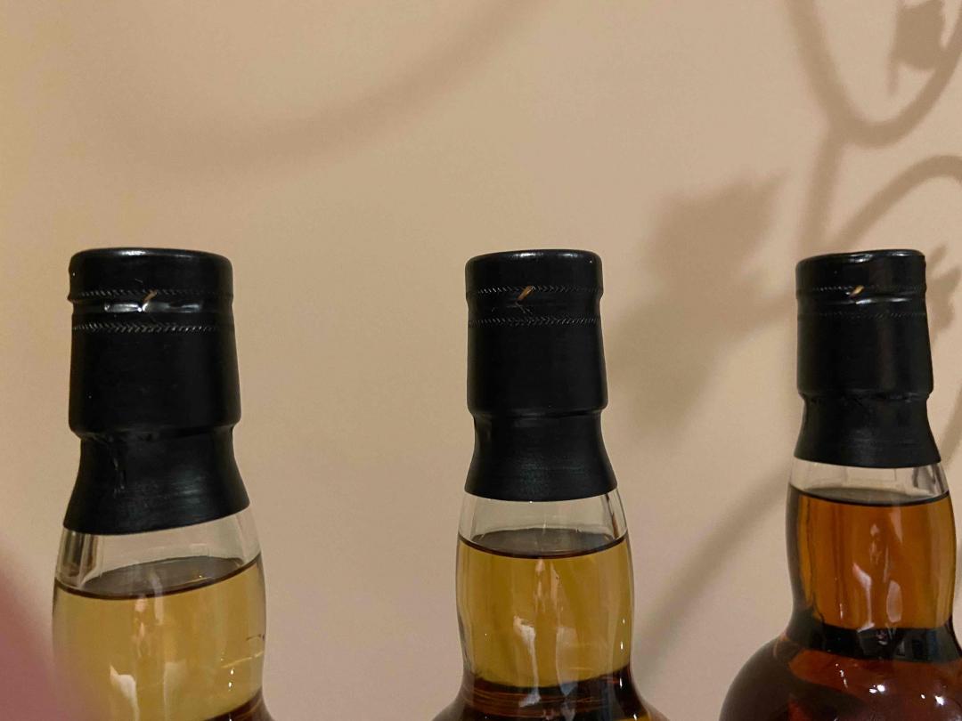 威士忌海绵 小猫雪梨单桶套装三瓶