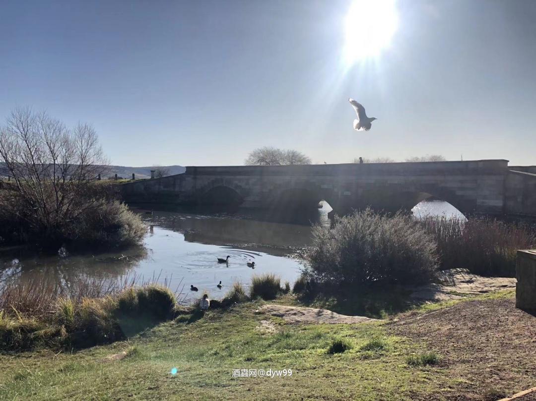 蓝天无云、草长莺飞