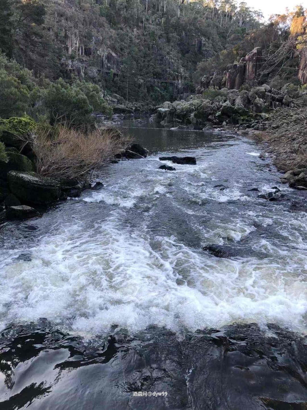 年终大促，花钱如流水
