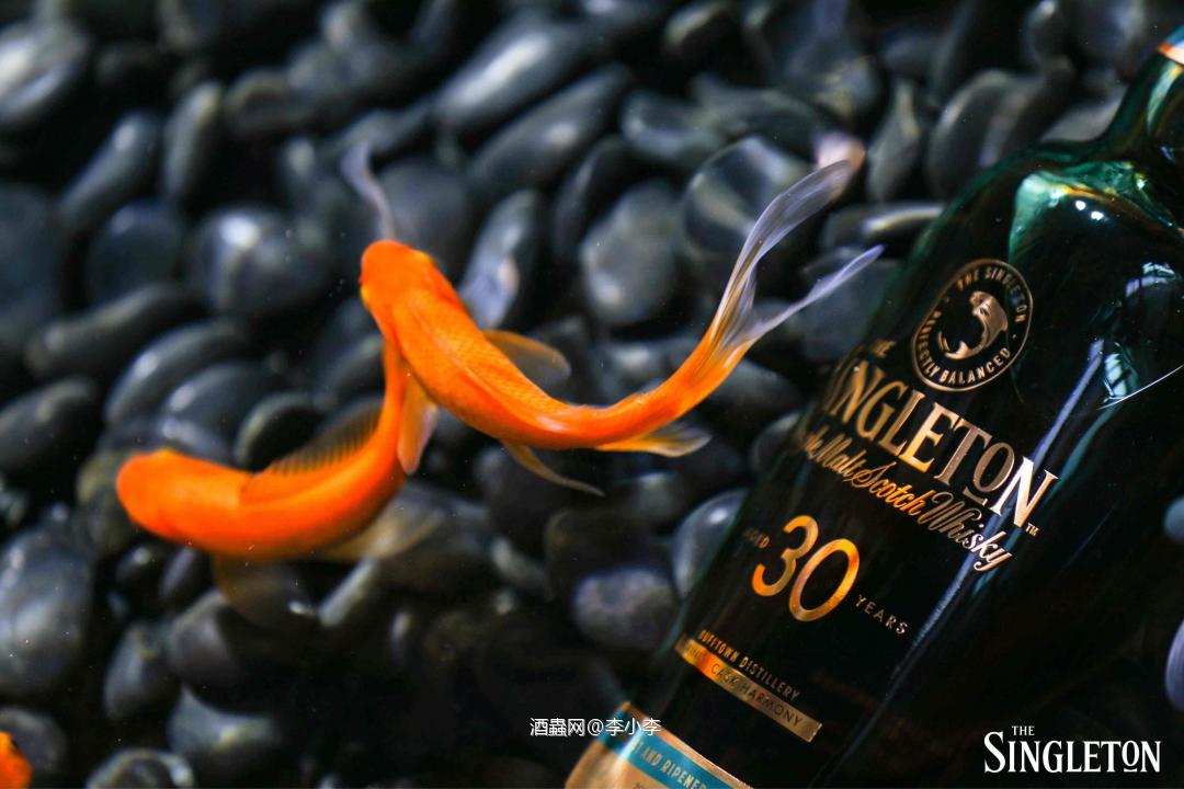 苏格登《丰味臻藏系列》30年单一麦芽威士忌首发晚宴