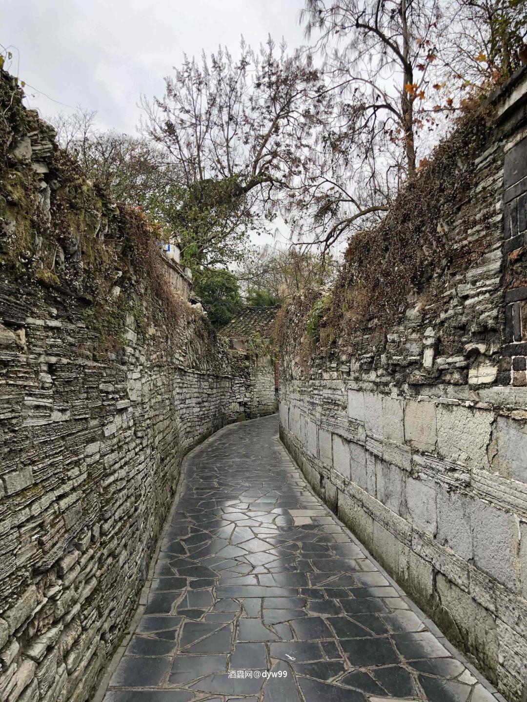 这一次会再创记录吗？