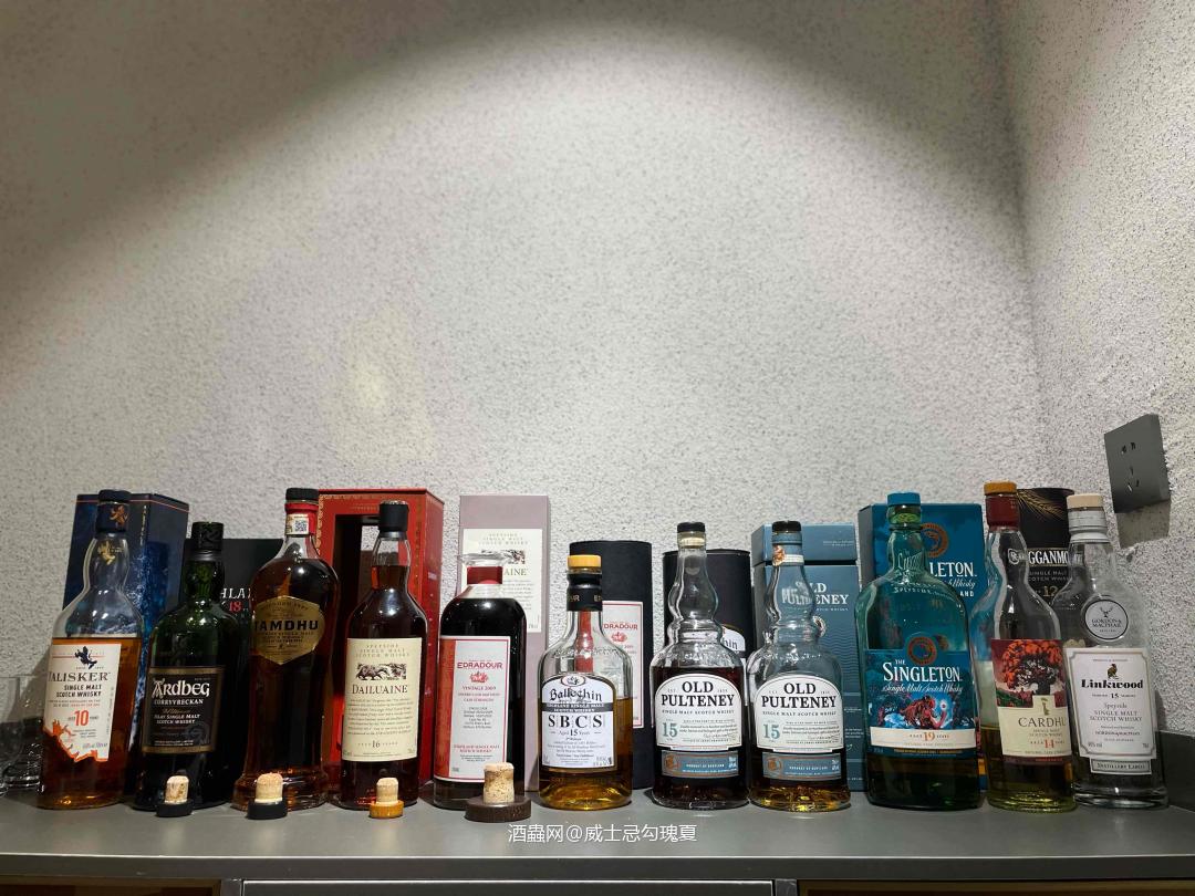 富特尼15常规版vs韭菜版