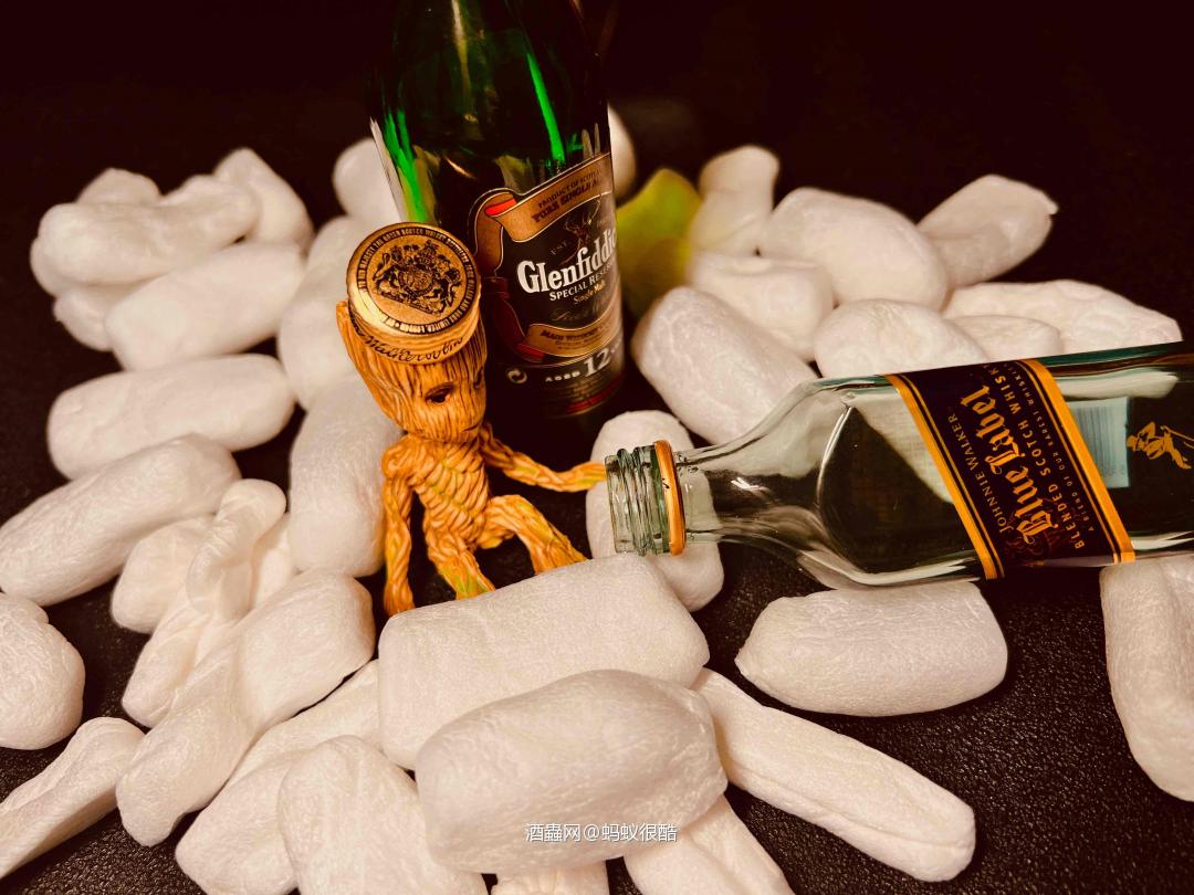 喝多了，我只能靠着菲迪，扶着尊尼！