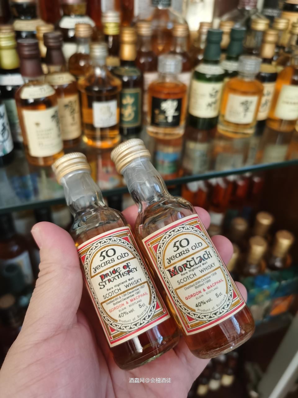 小酒大世界