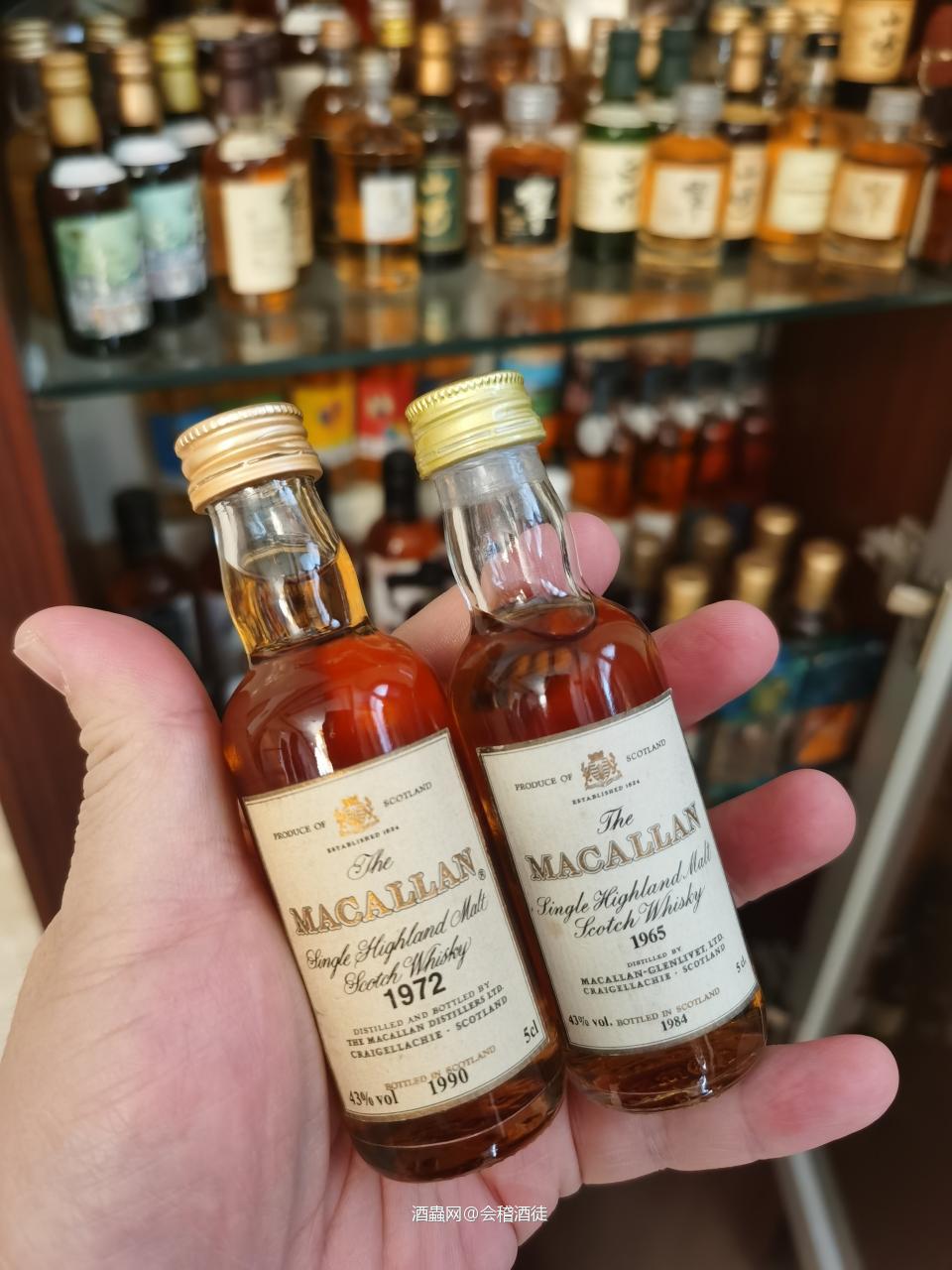 小酒大世界