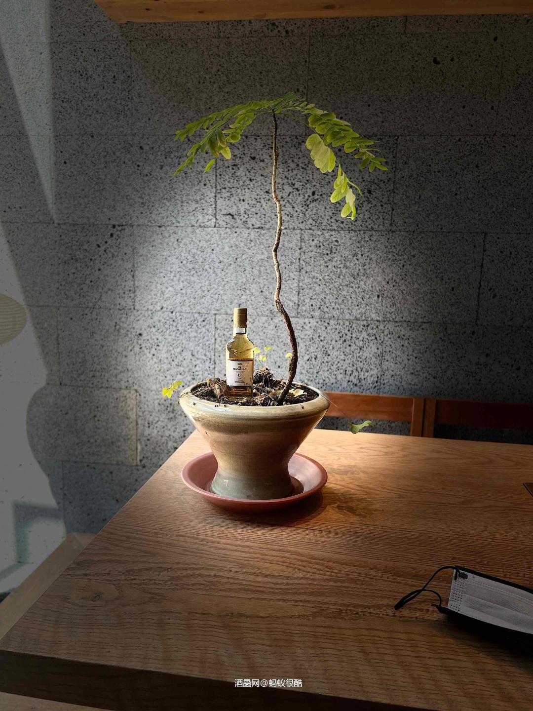 现有星座的收集全了