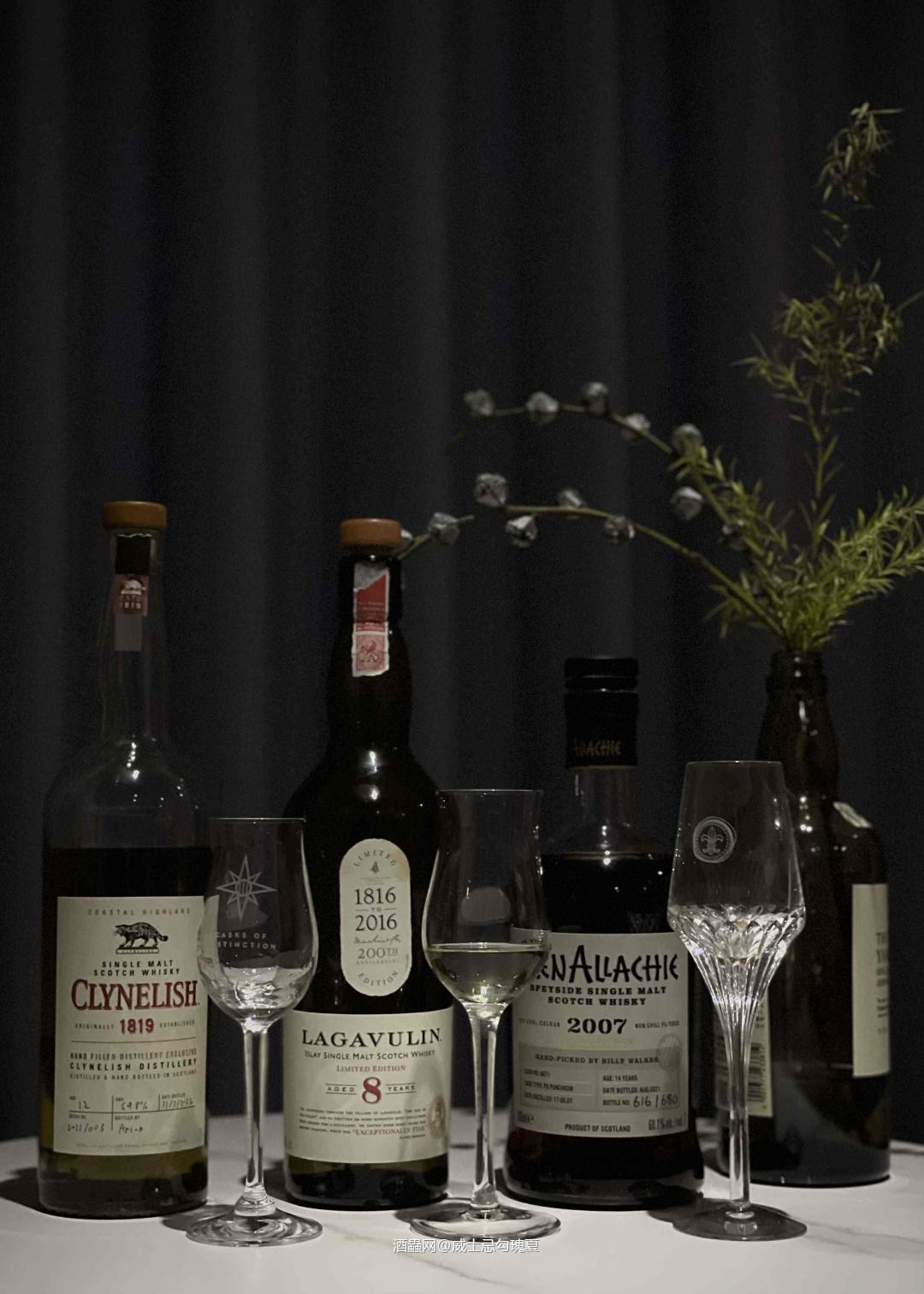 一个人的晚上·灵魂伴侣