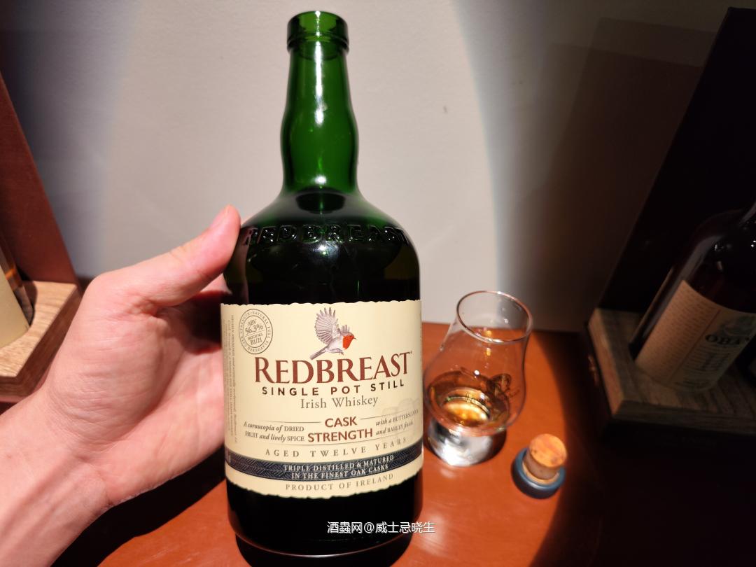 【知更鸟】罗缤之舞12年桶强