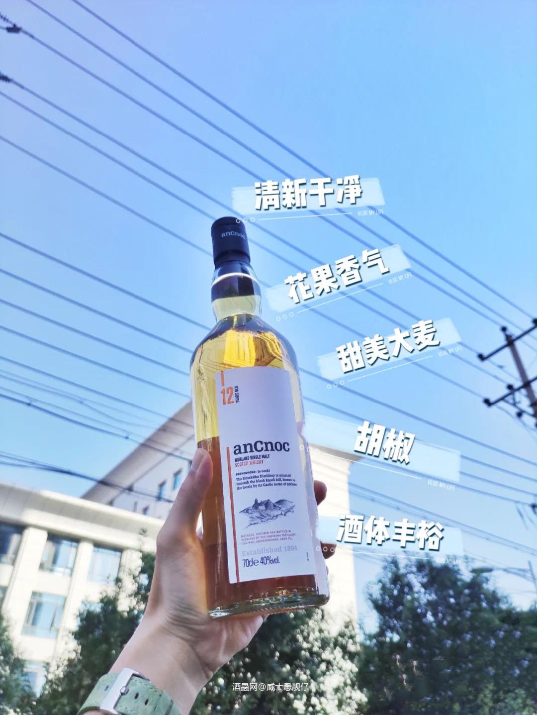 威士忌靓仔安努克12年~{冷门却性价比很高的威士忌}这瓶…