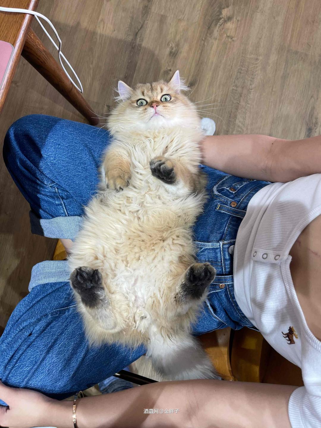 写个酒评[玫瑰] 微醺之后，拉加岛节lagavulin feis ile真的很顶[强] 一杯入喉，酒精感压的非常棒👍🏻。但酒体的宏大结构和雄壮的热情，很快会转化成一股暖流，瞬间涌上你的心❤巴 恰似胸口的一团火，直冲脑门[强]够劲，直接，纯粹。仿佛灰烬在口中刚刚熄灭的感觉[旺柴] 帅气，百喝不厌