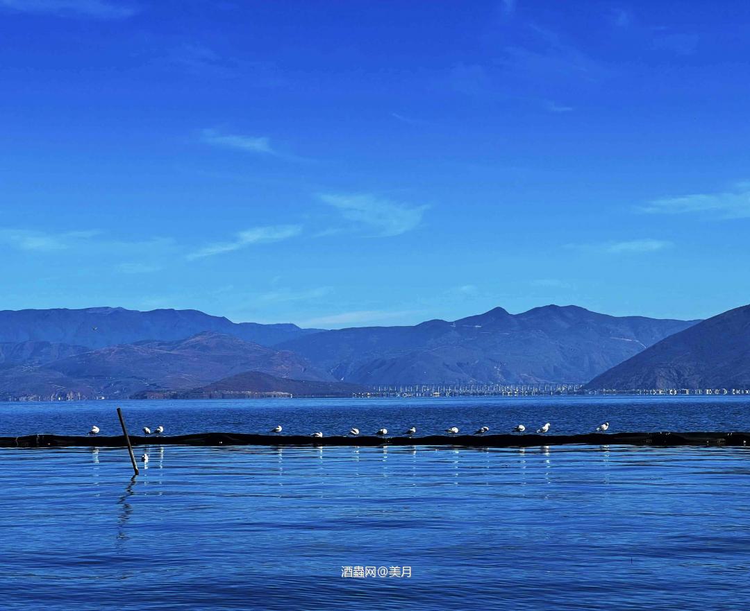 面朝洱海，醉在大理🥃