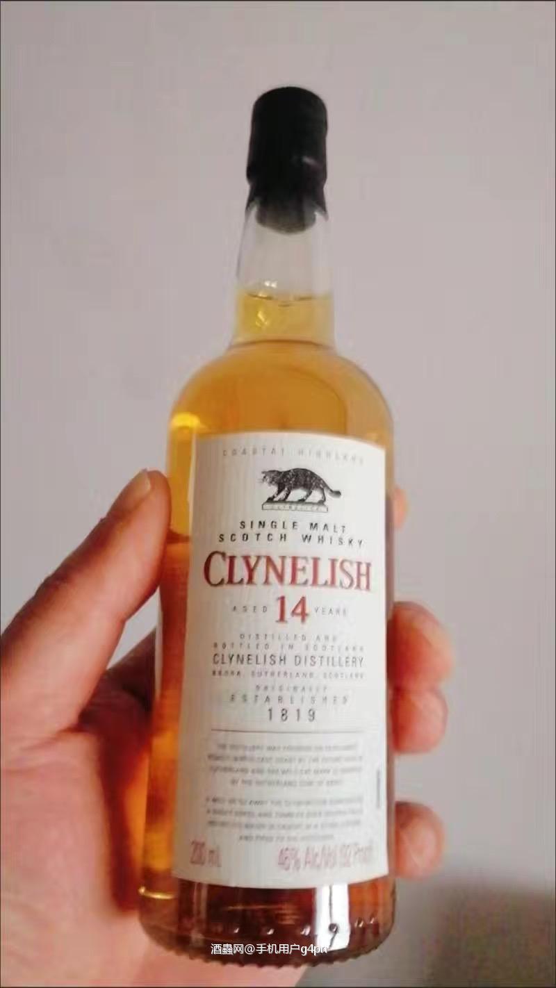 小小的小猫14，可爱吧