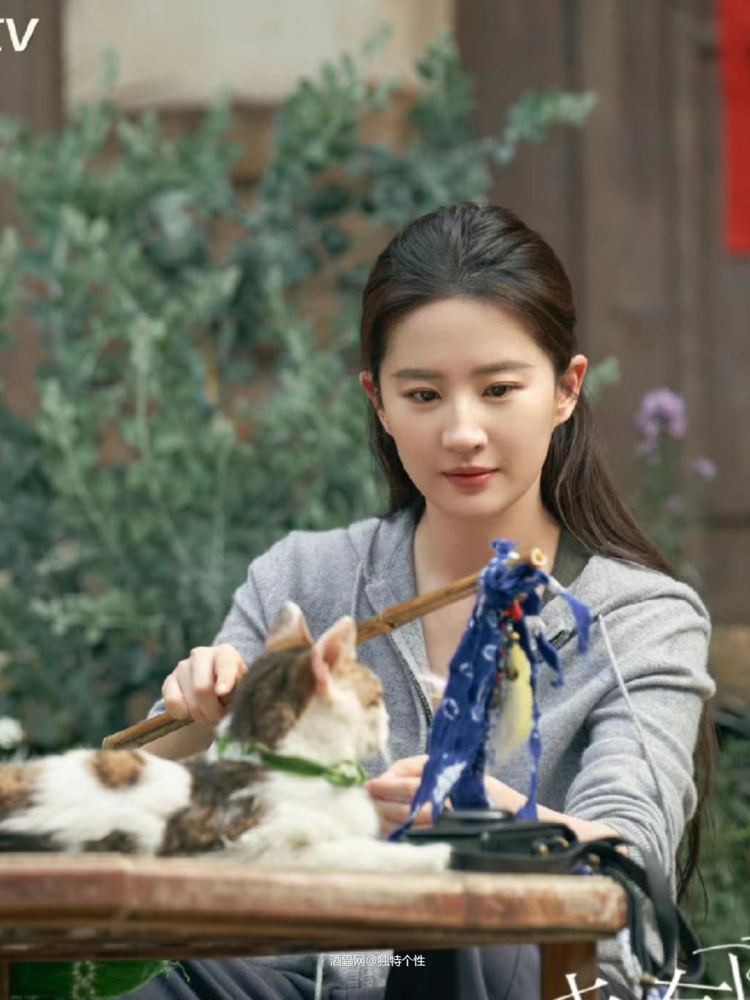 《去有风的地方》