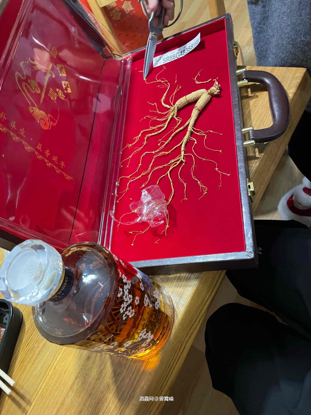 回家啦！回家看一条人参占地方，给泡了