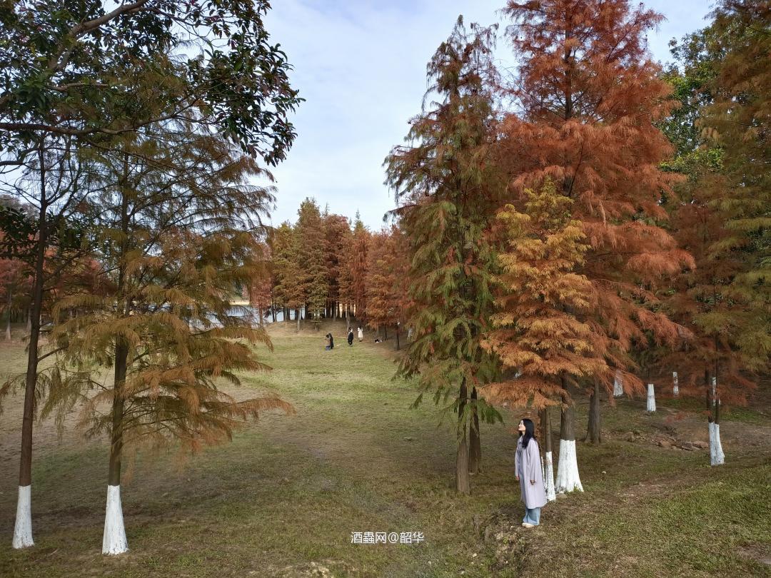 心中事，眼中泪，意中人