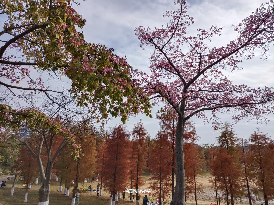 心中事，眼中泪，意中人