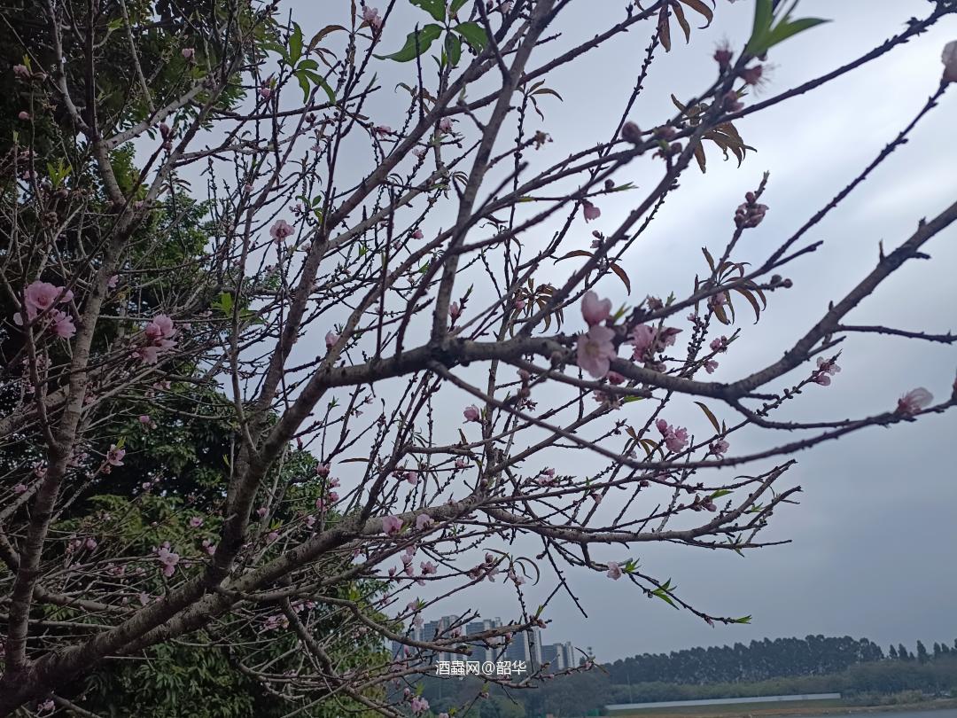 好兆头，刚打开就升级了！