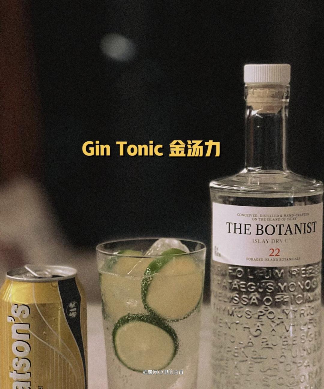 金汤力一直都是心头爱哦