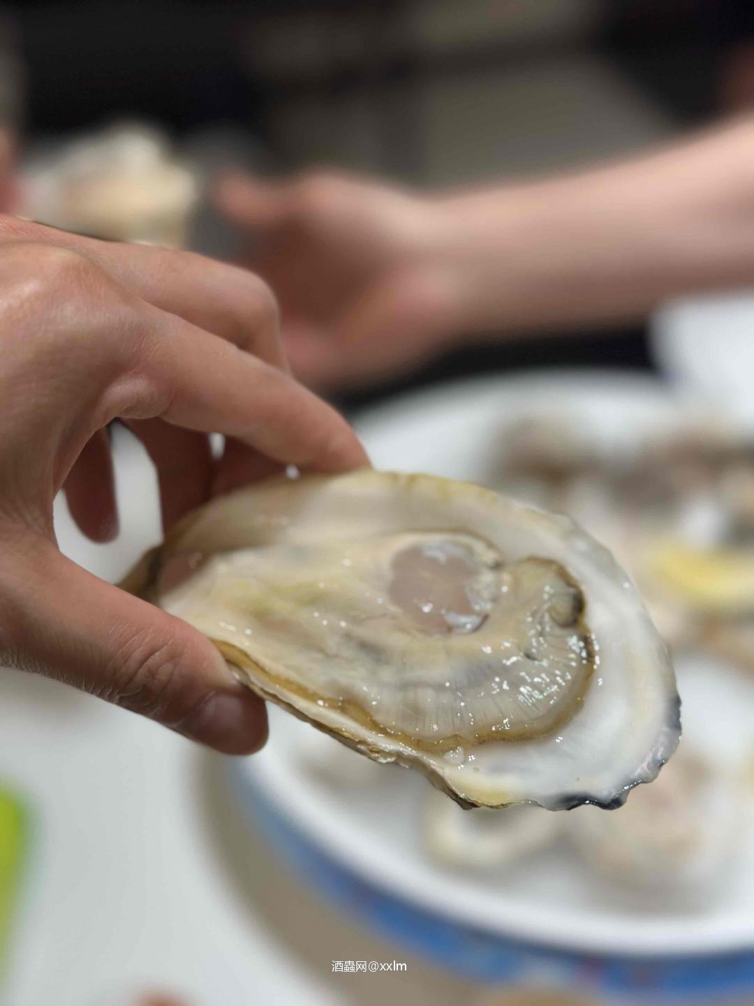 今天菜单：Hpyer Steak！