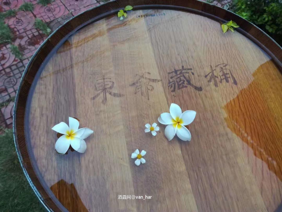 预告：东威来袭