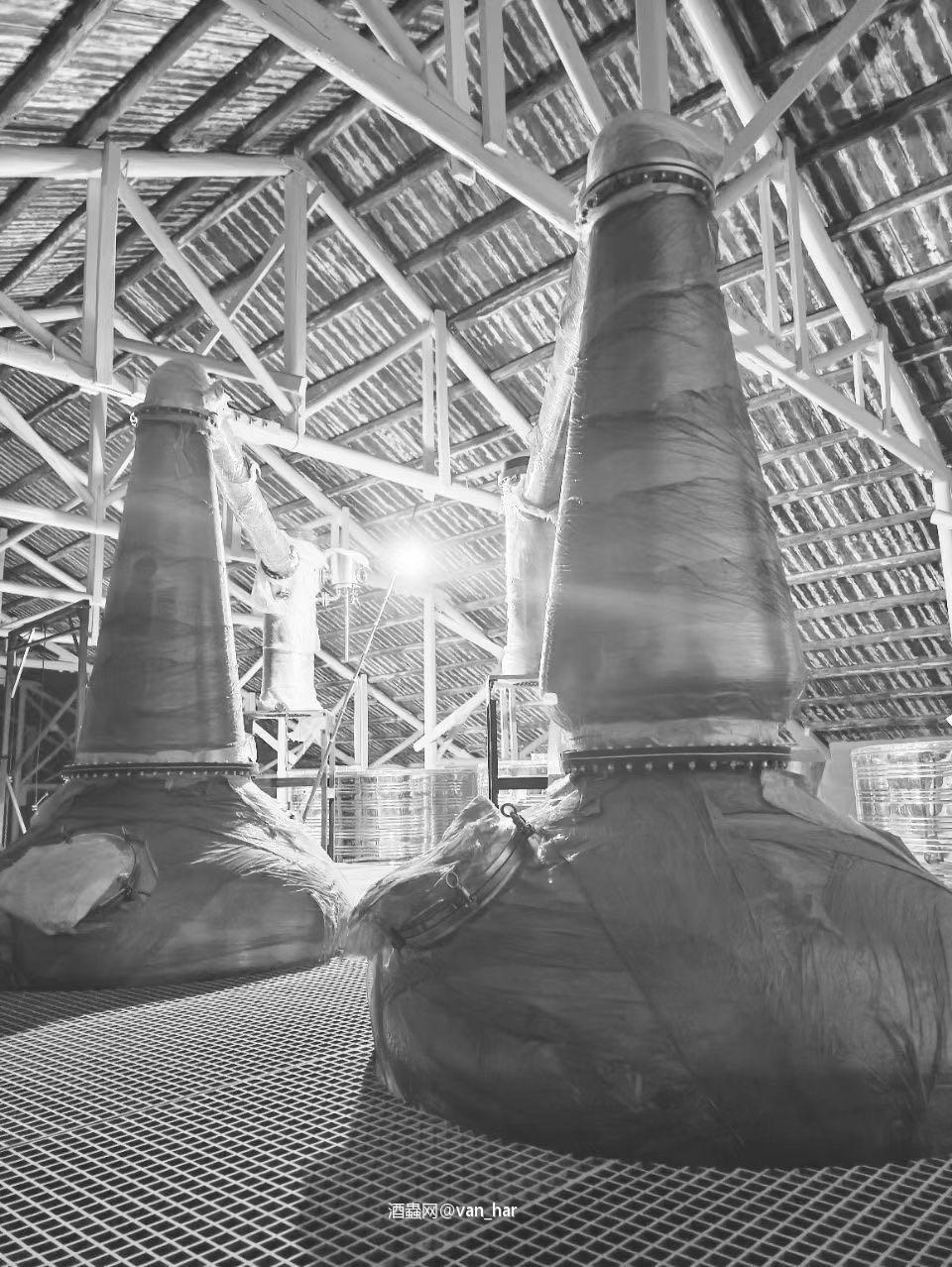 预告：东威来袭