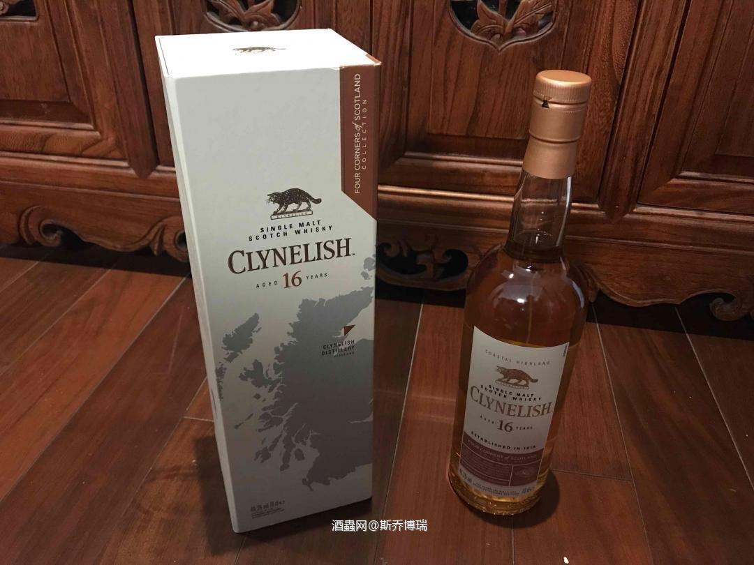 今日展示：小猫16年